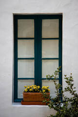 Fototapeta na wymiar Blue window, white wall, yellow flowers in clay pot