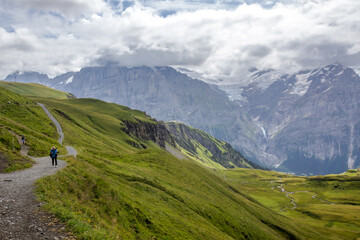 Naklejka premium The Grindewald Valley and mountain pastures in Switzerland 