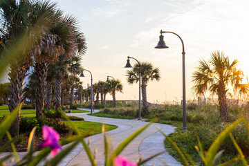 A beautiful park with palm trees, green grass and lanterns in the sun, the ocean on the horizon. Summer background. Morning tropical landscape with palm trees. Myrtle Beach, SC, USA