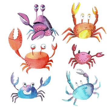 A set of watercolor crabs. Cute illustration