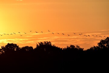 Nature reserve in Poland, Barycz Valley, trees, water, Park, © Albin Marciniak