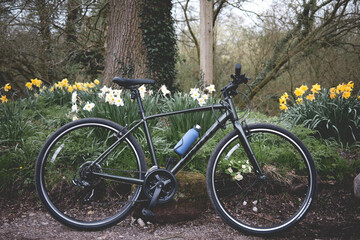 Fototapeta premium bicycle on the road