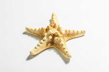 Single starfish isolated on white background