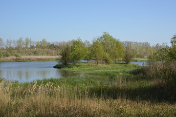 Paisaje cercano a un humeral, caminos, humeral ,idoneo para paseos.