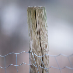 Fencepost with wire of a fence