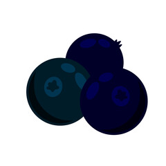 Blueberries. Black berry. Healthy food and sweet dessert ingredient. Flat cartoon illustration