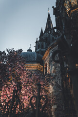 dom am Abend