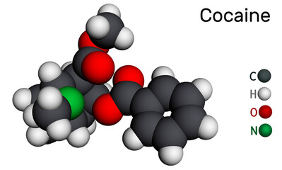 Cocaine, coke, coca molecule. It is tropane alkaloid with central nervous systems CNS stimulating, local anesthetic, vasoconstrictor. Molecular model. 3D rendering