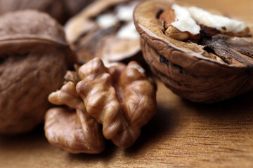 noce con guscio macro