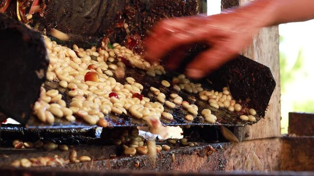 Removing of pulp in coffee beans with a machine