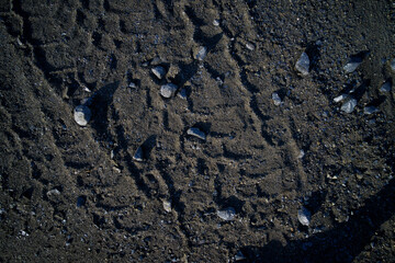 salt yard, patterns in nature. 