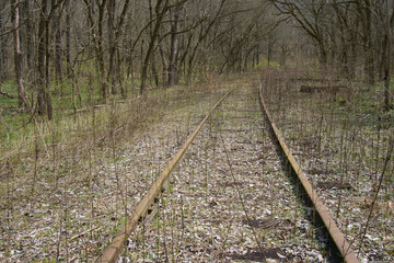 abandoned train tracks