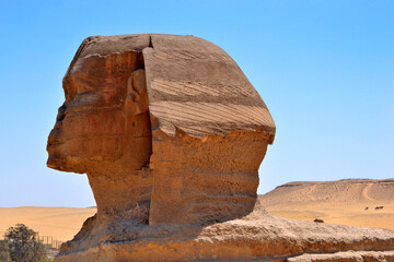The Great Sphinx of Giza, a large statue in the form of an animal with a human head, detail of the...