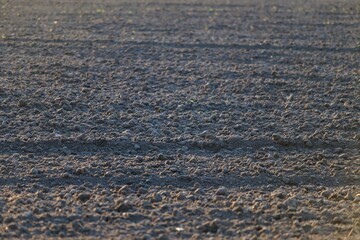 A plowed field of black soil. Agro theme. Planting crops.