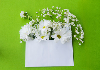Delicate white bouquet in an envelope on a green background