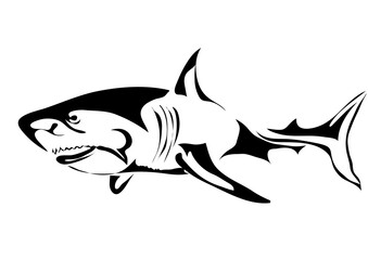 great white shark