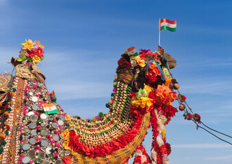 Beautiful amusing decorated Camel on Bikaner Camel Festival in Rajasthan, India