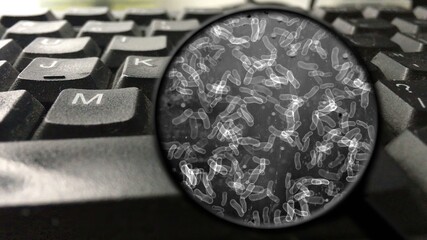 Searching for bacteria on computer keyboard