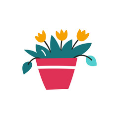 Indoor plant in a pot. Illustration on white background