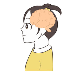 脳の断面図　女の子
