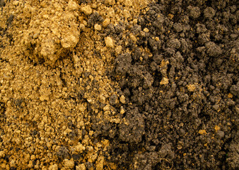 Mixing two types of soil, earth and clay. Earthy koichnev background. Agricultural and environmental problems.