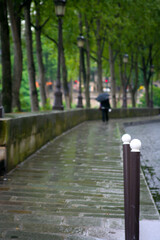 person walking with umbrella