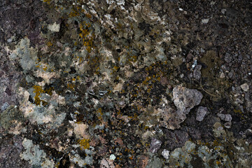 texture of rocky stones. background from rocks. stone texture