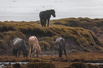 Iceland  © jacek swiercz