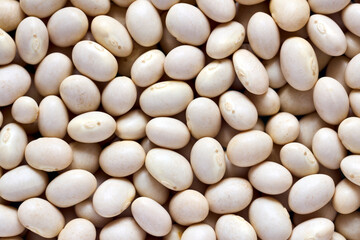Fototapeta na wymiar White bean texture background macro closeup. Concept of healthy eating protein diet and vegetarianism.