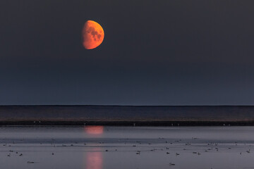 Islandia - Iceland  © jacek swiercz