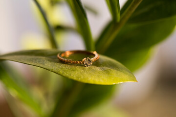 Wedding ring and leaf. Leaf. Macro