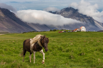 Islandia - Iceland  © jacek swiercz