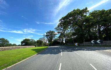 Looking along, Bracewell Lane, with grass verges, old trees, and a blue sky in, Bracewell, Skipton, UK