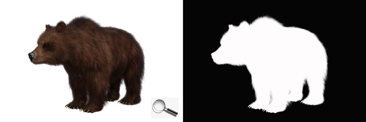 Fototapeta premium Isolated brown bear with clipping path and alpha channel on a transparent image background. Image is easy to use and suitable for all types of artwork and printing. 3d rendering, 3d illustration.