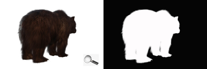 Isolated brown bear with clipping path and alpha channel on a transparent image background. Image is easy to use and suitable for all types of artwork and printing. 3d rendering, 3d illustration.