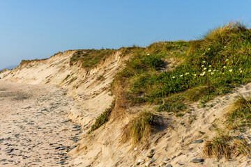 Eroded dune in Esposende, Portugal. Sand loss from a dune under wave attack.