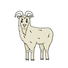 Сute vector doodle fluffy cartoon farm goat male buck with long beard stands sideways and looks to the left. Isolated hand drawn Animal on white background, side view.