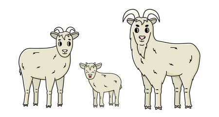 Set of cute funny vector doodle cartoon farm goat family male buck, female with horns and a baby stand sideways and look straight. Isolated fluffy hand drawn Animals are on white background, side view