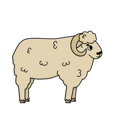 Vector hand drawn doodle white or beige farm ram animal. Cute cartoon male sheep looks to the right. Isolated character is on white background, side view