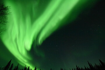 Fototapeta na wymiar Aurora Borealis - Northern Lights in the sky's of Alaska Interior