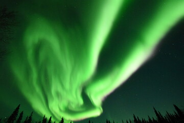 Aurora Borealis - Northern Lights in the sky's of Alaska Interior
