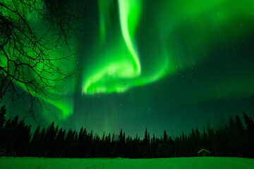 Aurora Borealis - Northern Lights in the sky's of Alaska Interior