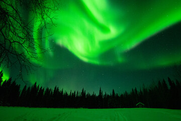 Aurora Borealis - Northern Lights in the sky's of Alaska Interior