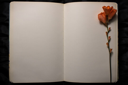 Open book with orange freesia flower resting on empty blank page against a  black background. Empty space for text. Concept of nostalgia, sadness or  remembrance Stock Photo | Adobe Stock