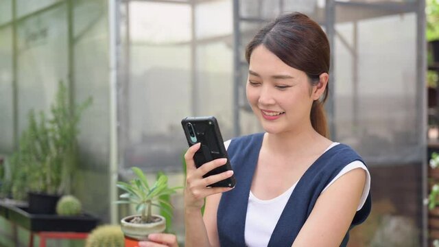 Footage of happy Asian woman sitting in garden and using smartphone taking photo bonsai for online sale. Young female blogger vlogger is review small tree in pot on social media by streaming live. 