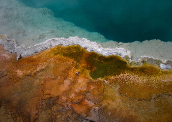 Geyser Basin No. 3. A detail view of the colorful algae, microbial mat, and coral like formations at the edge of Black Pool at West Thumb Geyser Basin in Yellowstone National Park, Wyoming, USA, 2005
