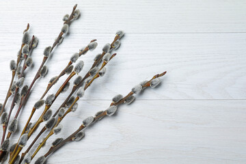 Beautiful bouquet of pussy willow branches on white wooden background, flat lay © New Africa