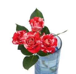 Bunch of rosy roses isolated on white 