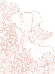 hand drawn illustration