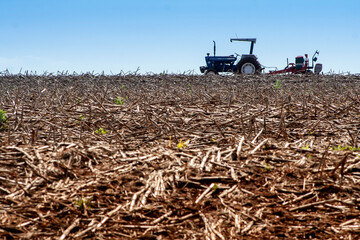 Direct soybean planting in a freshly harvested corn field in the state of Parana, southern Brazil